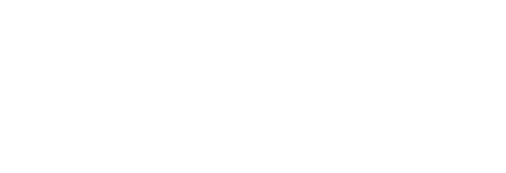 Logo infonet – white